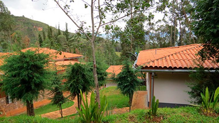 Areas Verdes 3